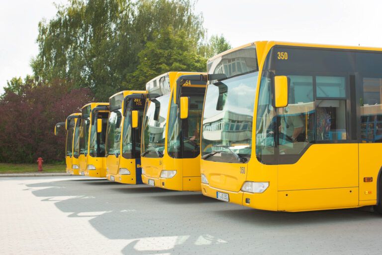 D sınıfı otobüs ehliyeti